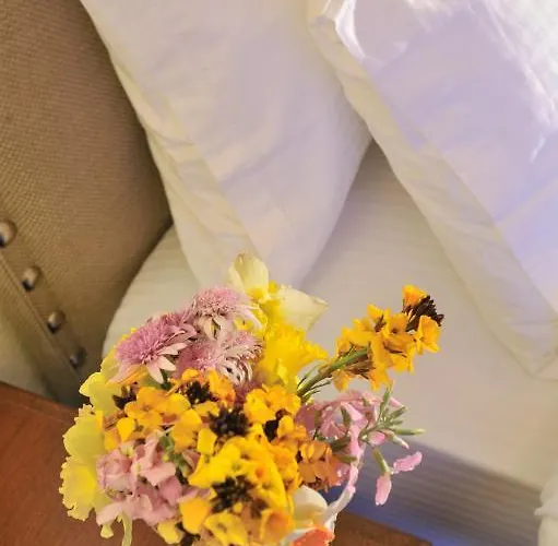 Kapaniaris 3* Zagora